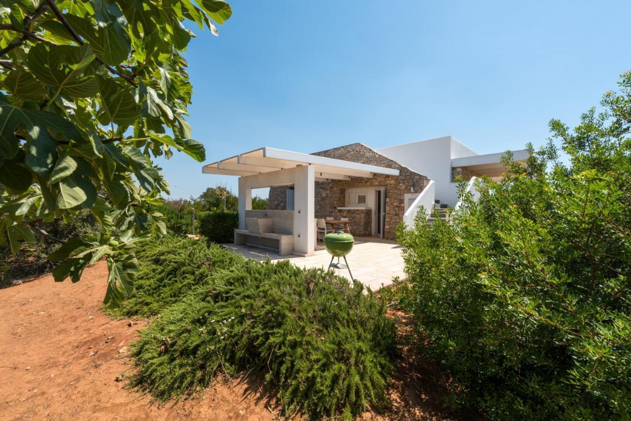 Fani Luxury Villa *